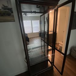 Enclosed Wooden Cabinet With Mirror Backdrop