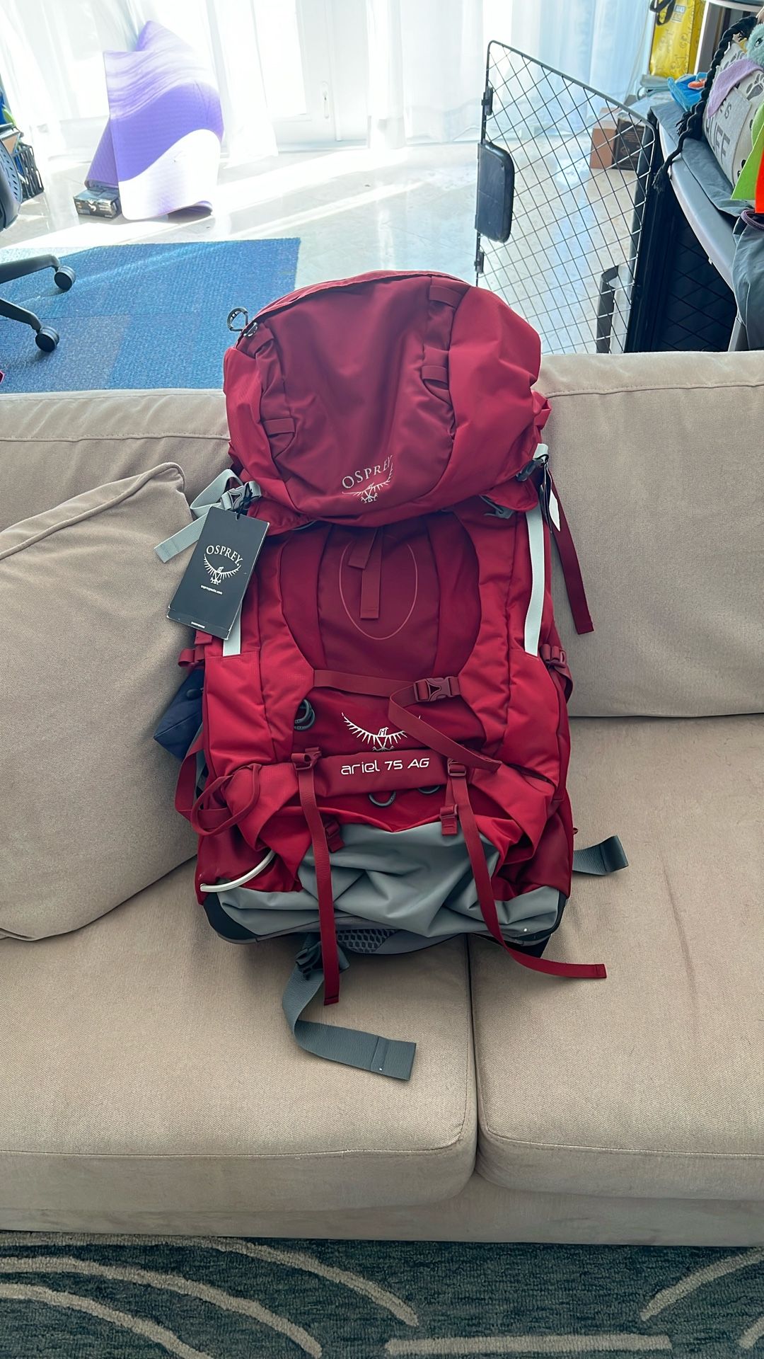 Osprey Ariel 75 AG Backpacking Backpack