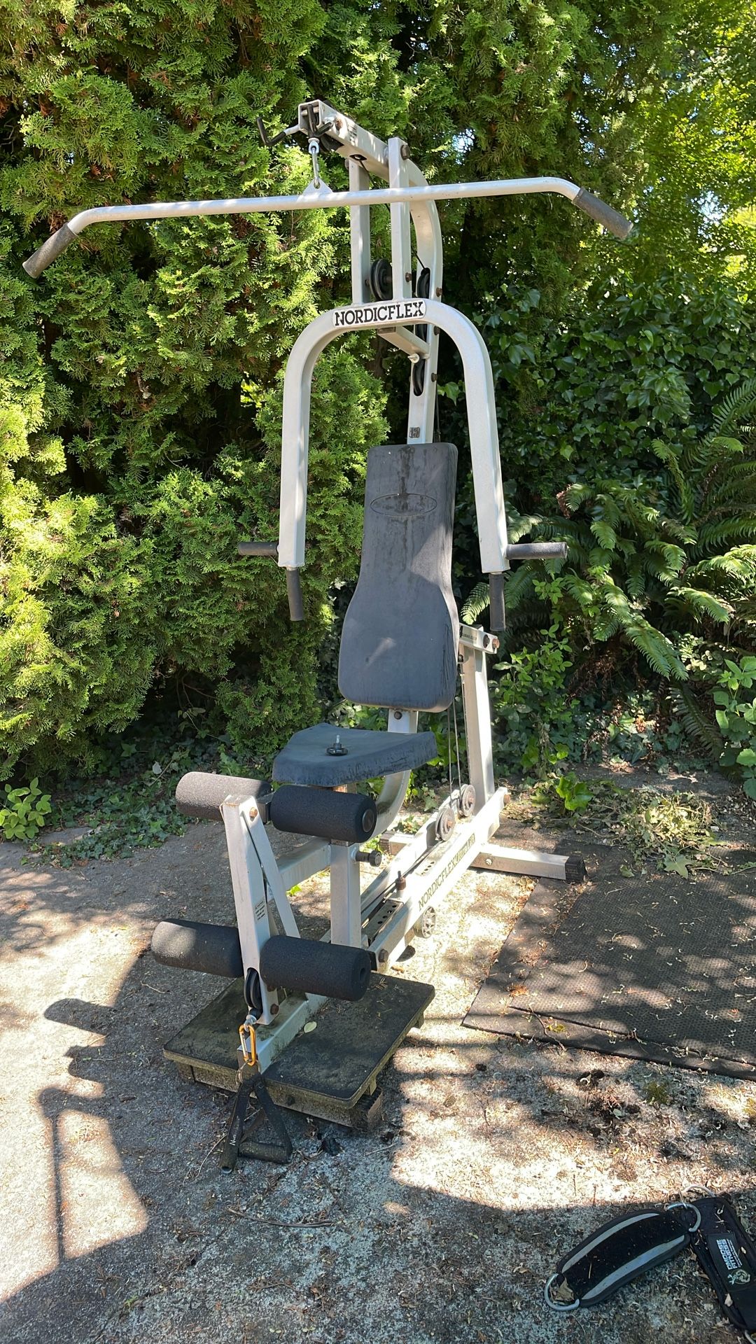 FREE Nordic Flex UltraLift