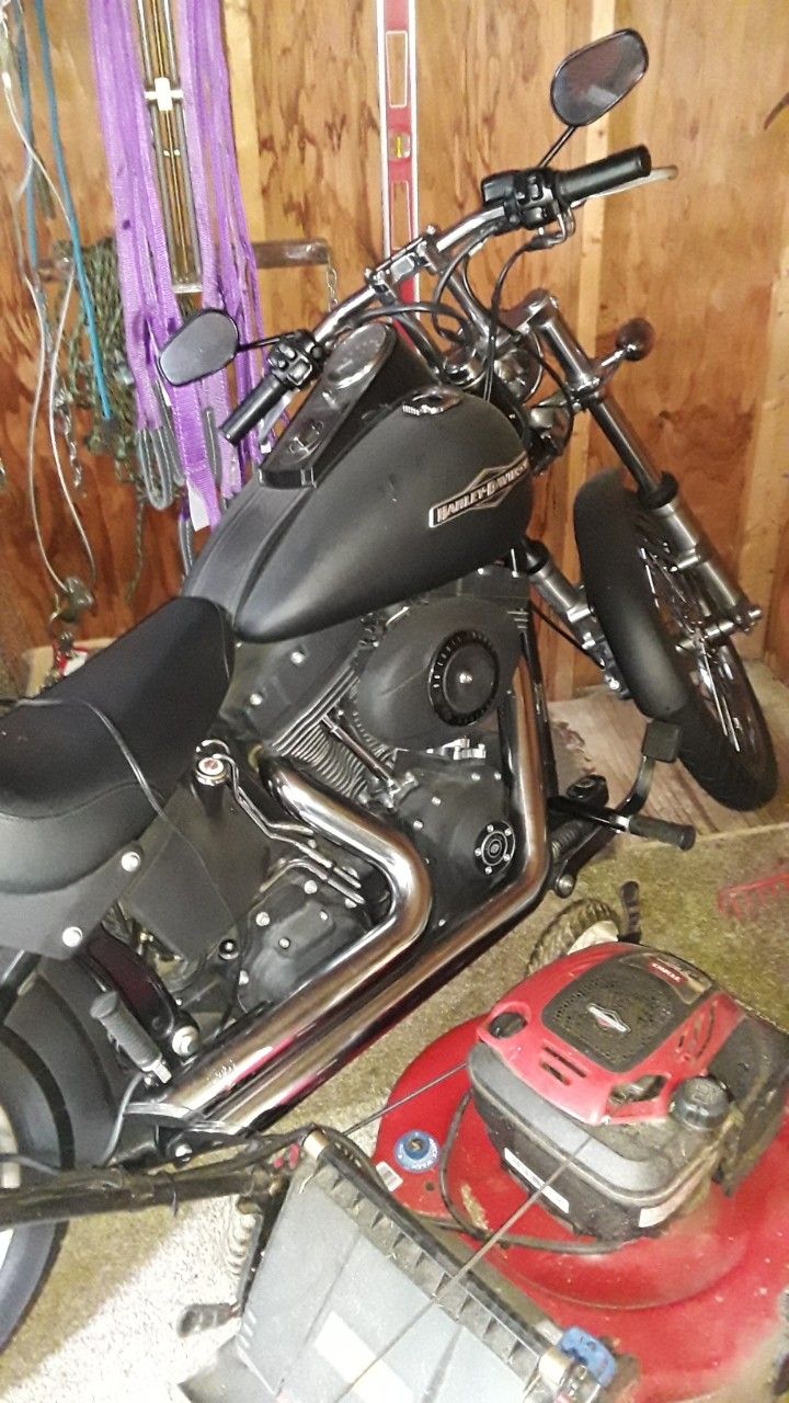 Harley