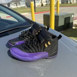 Purple Jordan 12’s Size 9