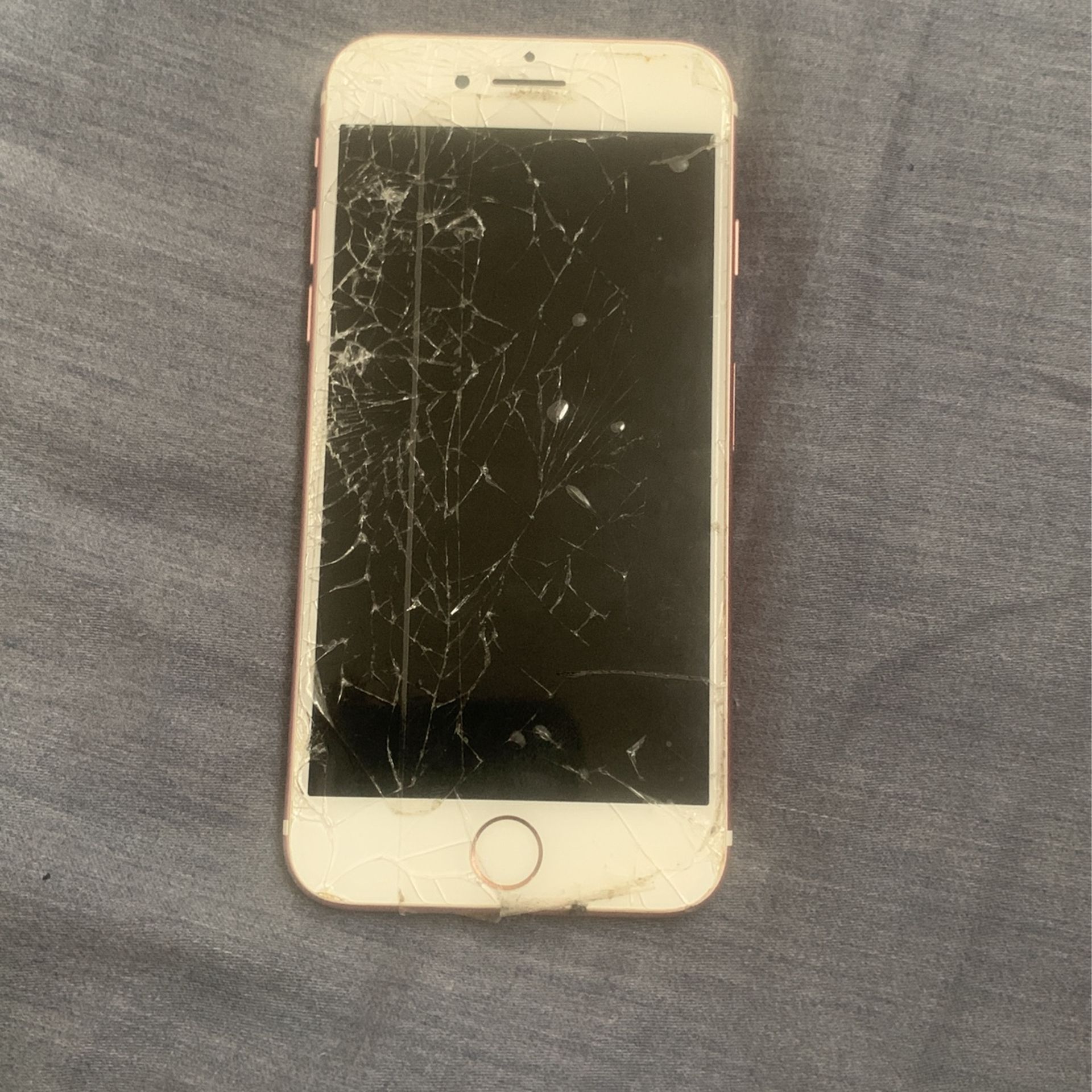 iPhone 6 