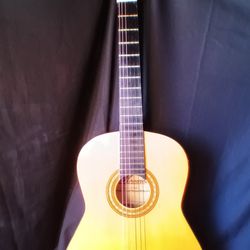 Monarch Acoustic Guitar 