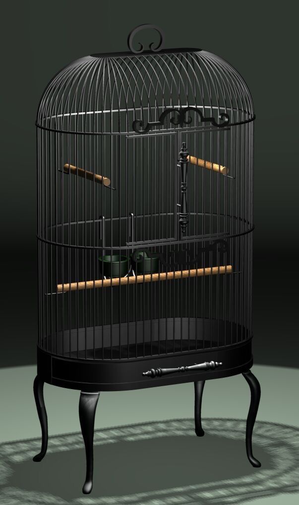 FANCY BIRD CAGE - Los Angeles