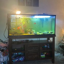 75 Gal Fish Tank 