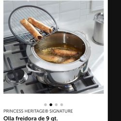 PRINCESS House Olla freidora de 9 qt Nueva En Caja 