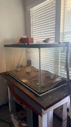 125 gallon aquarium