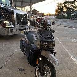 2024 Tank 200 Cc Brand New 