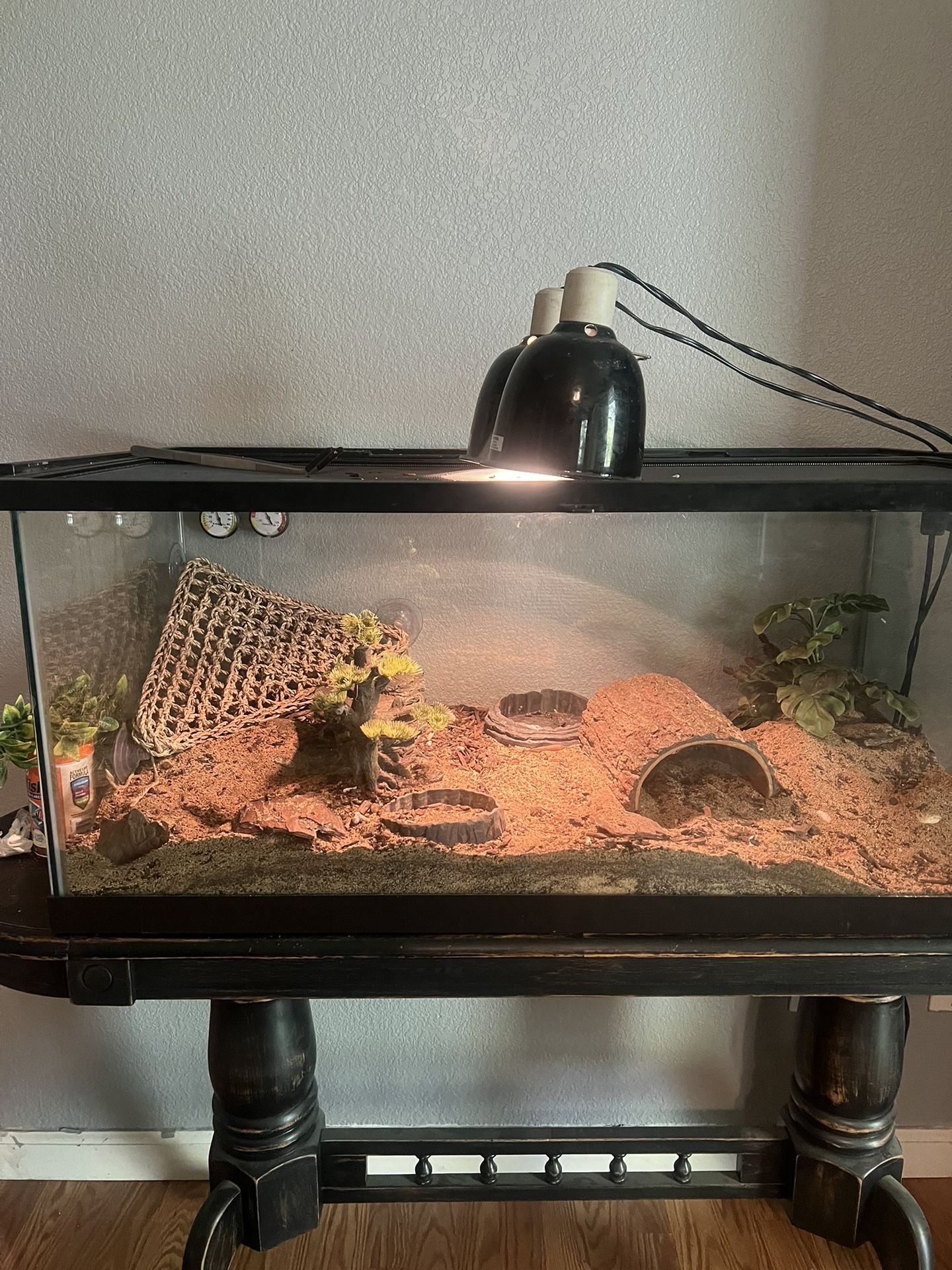 60 Gal Reptile Tank