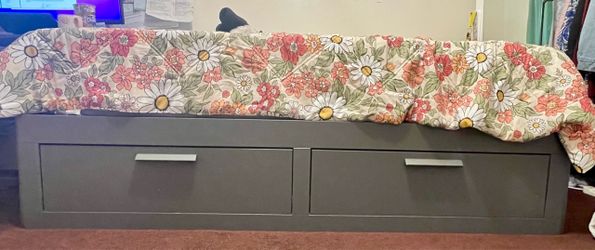 Daybed