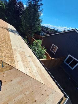 CDX plywood 1/2" half price