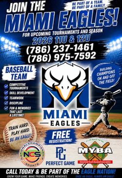 Baseball Team 11U , 12U Miami