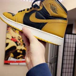 Pollen Jordan 1 