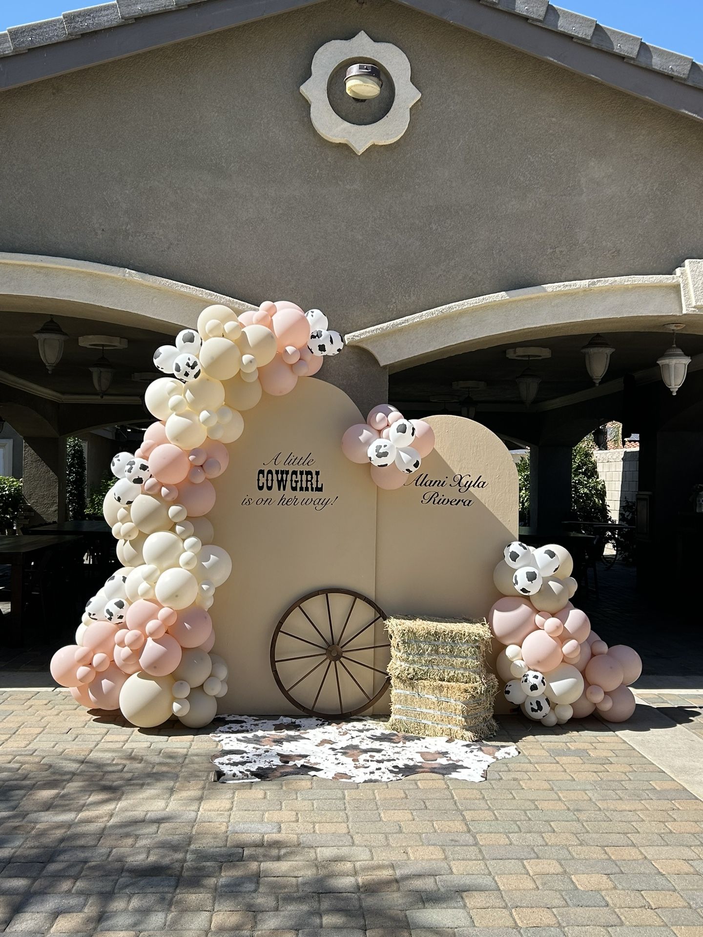 Cowgirl Babyshower Set Up