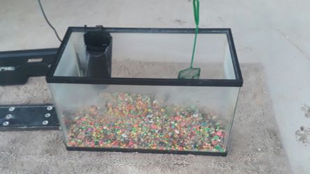 10 Gallon Fish Tank