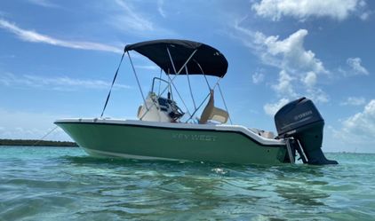 Sunbrella Bimini top