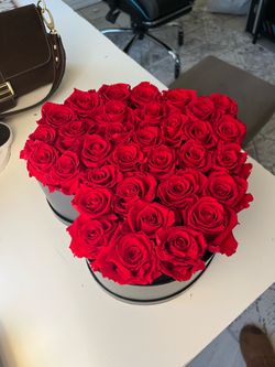 Venus Fleur Set
