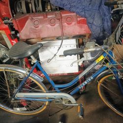 Schwinn