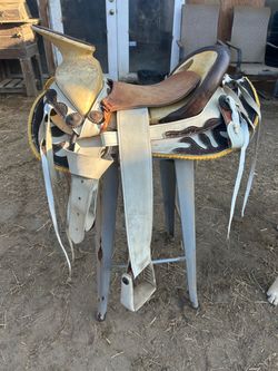 Saddle , montura