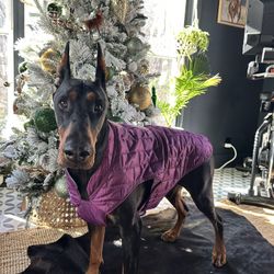 NEW Kurgo Dog Coat Size XL
