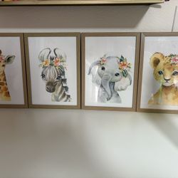 Baby animal portrait 