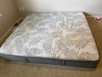 Sealy costco king size mattress -free