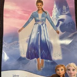 Elsa Frozen Women Costume 