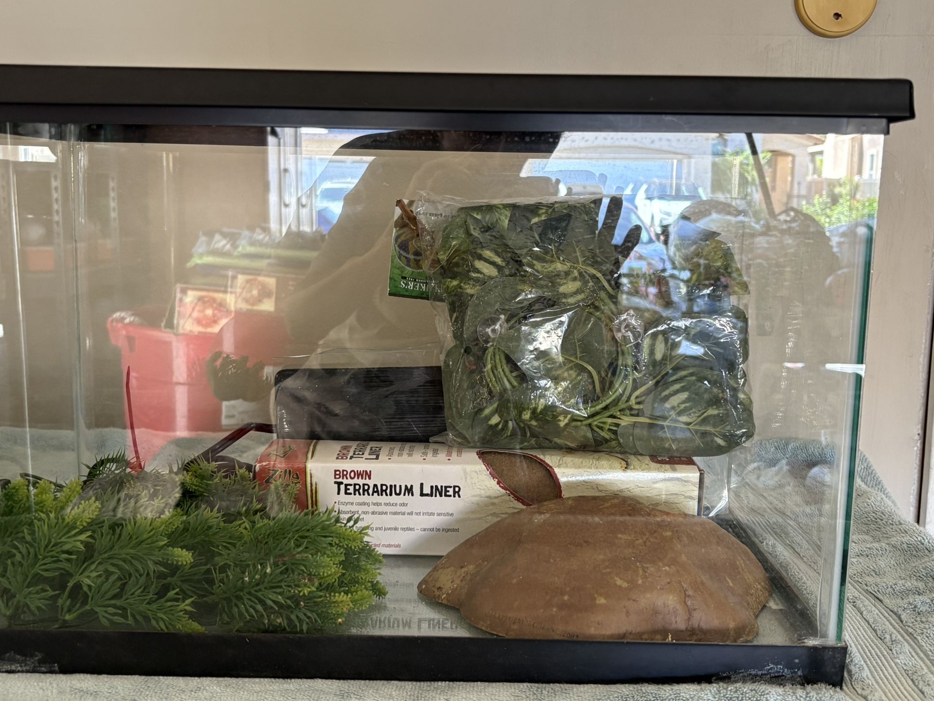 Terrariums 