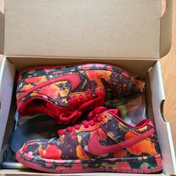 Nike Sb dunk low wizard oz size 8.5 men’s