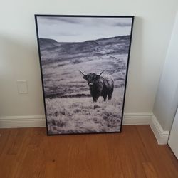 Framed ARTWORK BLACK & WHITE PHOTO OF BULL