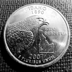 2007-P Idaho State Quarter Uncirculated From US Mint Roll