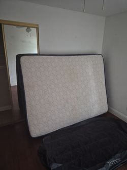 Free queen beds
