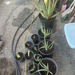 Stove And Good, Make Offer