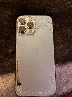 iPhone 13PRO max
