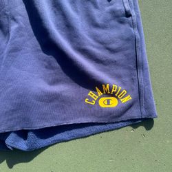Champions Men’s Fleece Shorts 