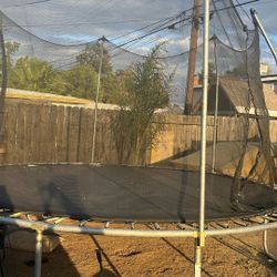 Trampoline 