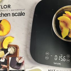 In San Marcos - New Taylor Kitchen Scale