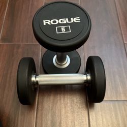 Rogue dumbbell 