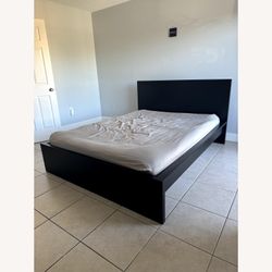 IKEA Queen sized black Malm bed frame