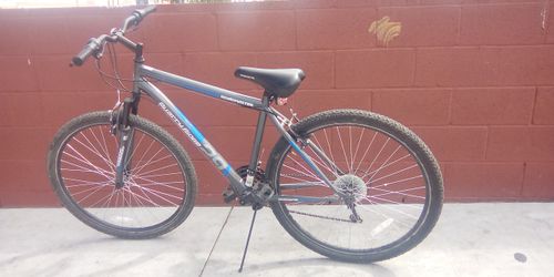 roadmaster granite 24 inch bike