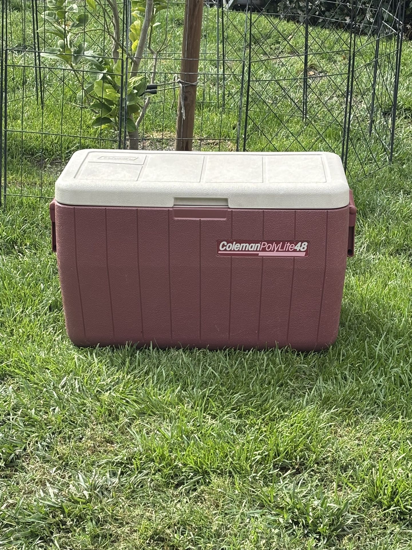 COLEMAN ICE CHEST,COOLER