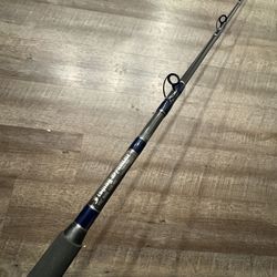Like new  Fishing Syndicte 8’ 15-30  lsalt water fishing rod