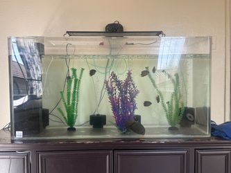 90 gallon acrylic tank