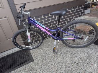 Purple Schwinn bike