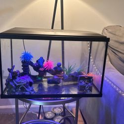 LED Fish Tank W Accessories 