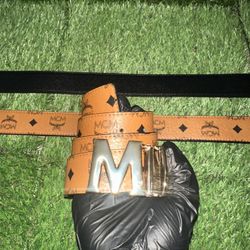 Brown And Gold Buckle True Religion Belt 