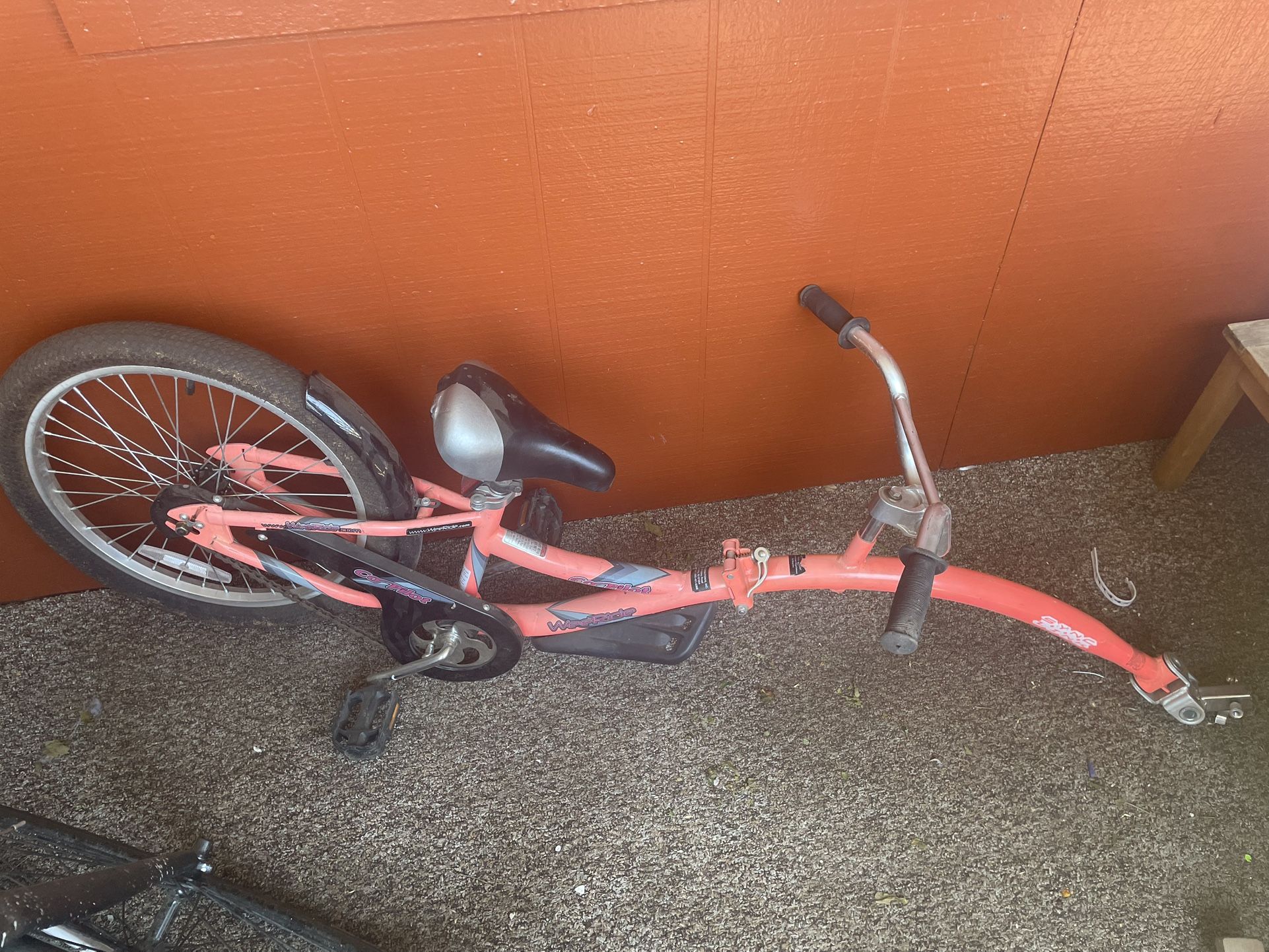 Co Pilot Bike