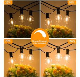 100ft 2-Pack Outdoor String Lights, G40 LED Globe Waterproof Patio Lights(2661)