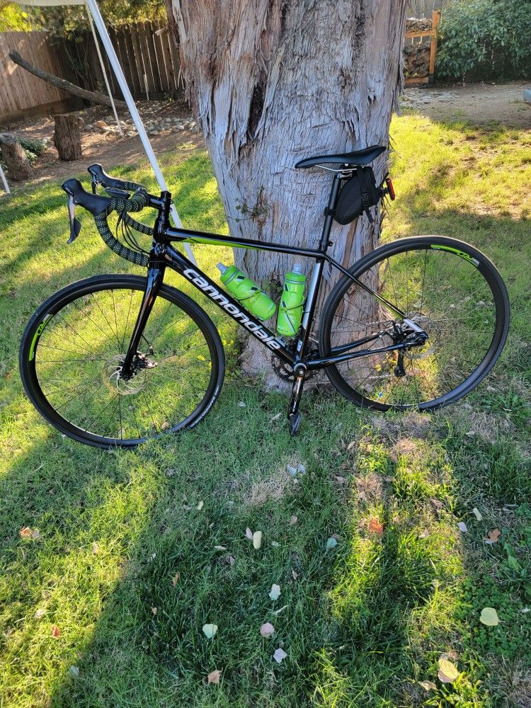 Cannondale, Sora, Size 51, $1000obo