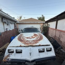 1981 Pontiac Firebird